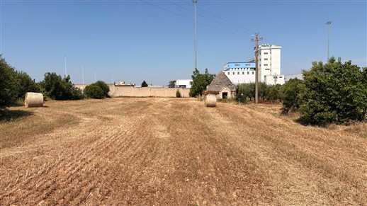 Caratteristico Trullo Con Terreno Di 3.000 mq. Circa.
